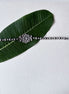 Anvaya Ball Choker Necklace