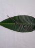 Ghunghru Bunches Anklet image 0