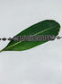 Silver Beads Choker Necklace