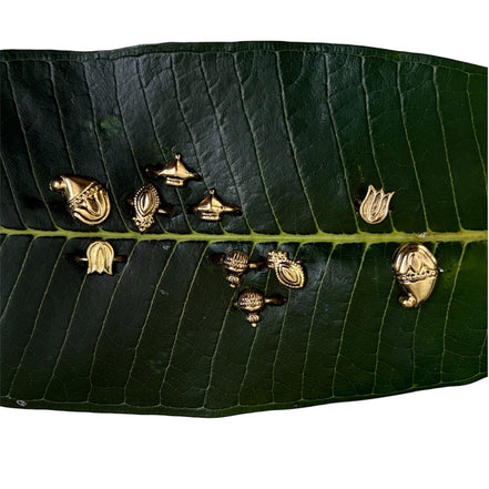 Sanch Rings