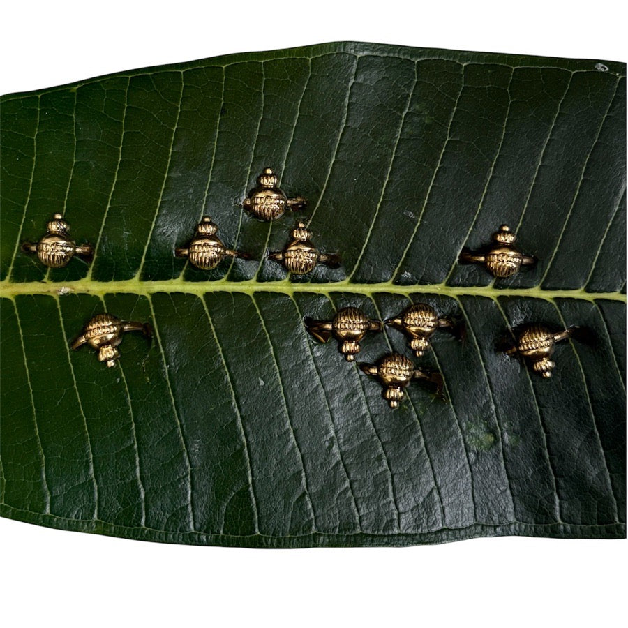 Modak Rings