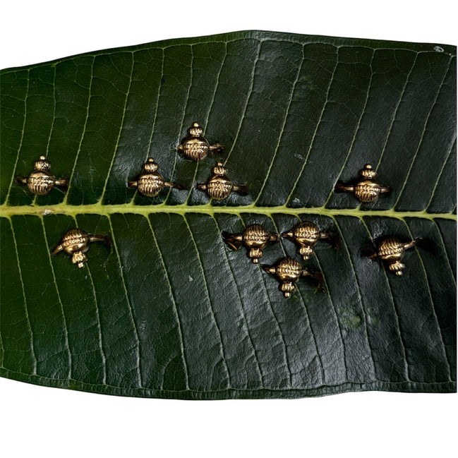 Modak Rings