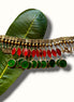 Kamal KunkuPaan Chinchpeti Necklace
