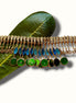 Mor MorPankh Chinchpeti Necklace
