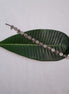 Hexa Charm Anklet image 0